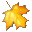 Maple Professional icon